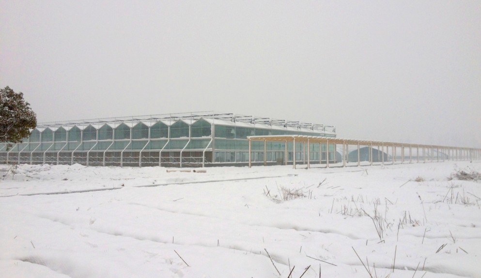 20130107123154_8522.jpg